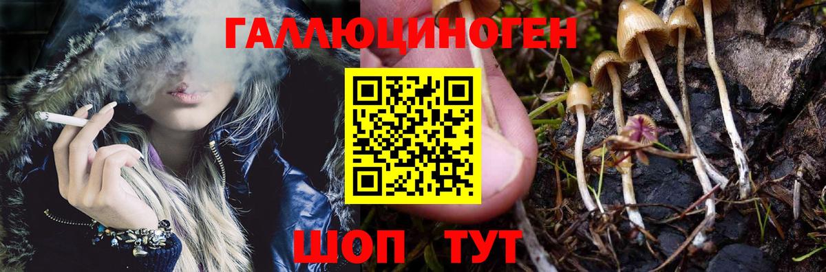 Псилоцибиновые грибы ЛСД Пенза